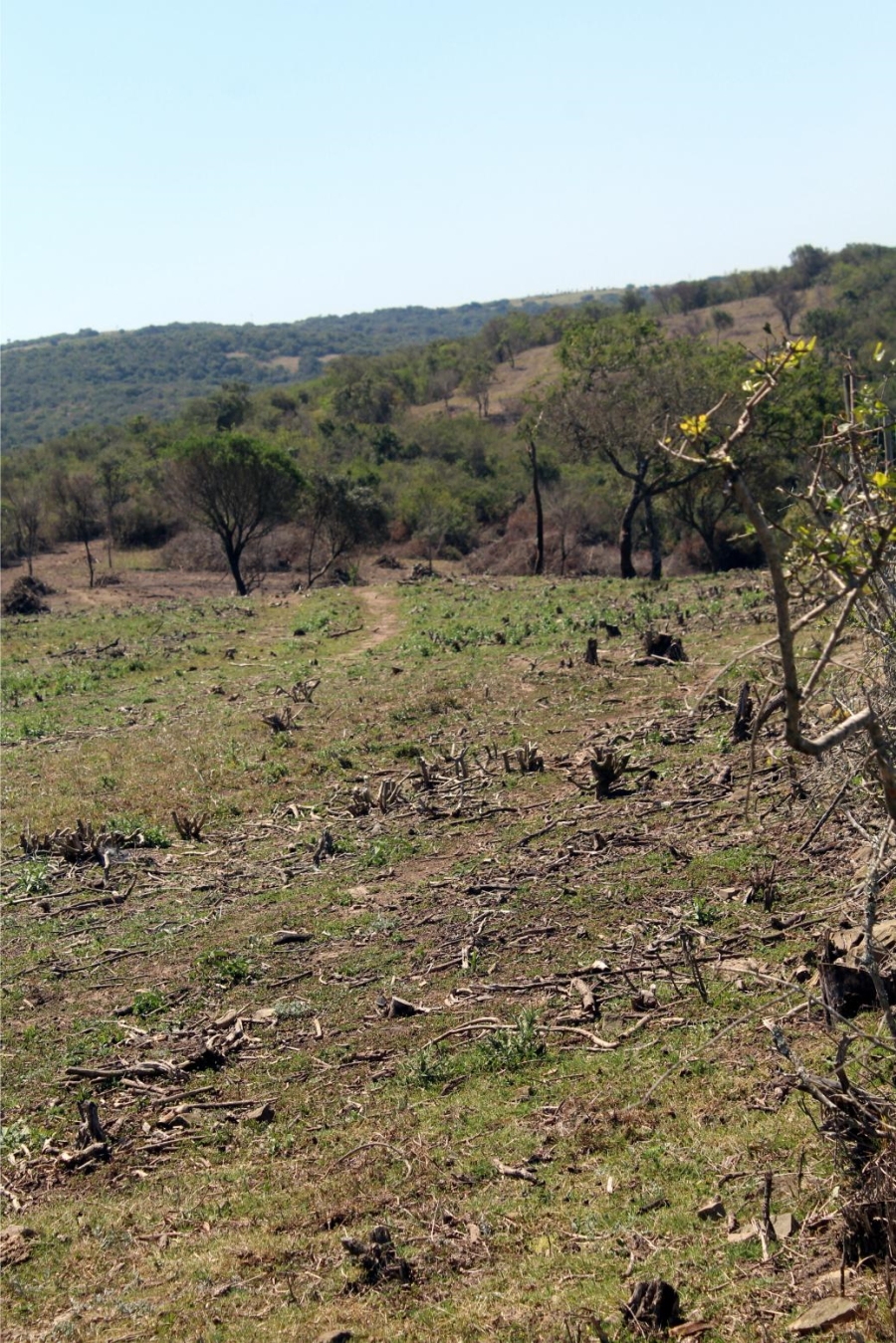 Commercial Property for Sale in Komga Rural Eastern Cape